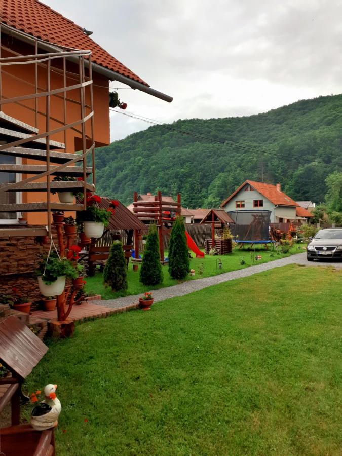 Casa De Oaspeti Cristian Praid Phòng bức ảnh