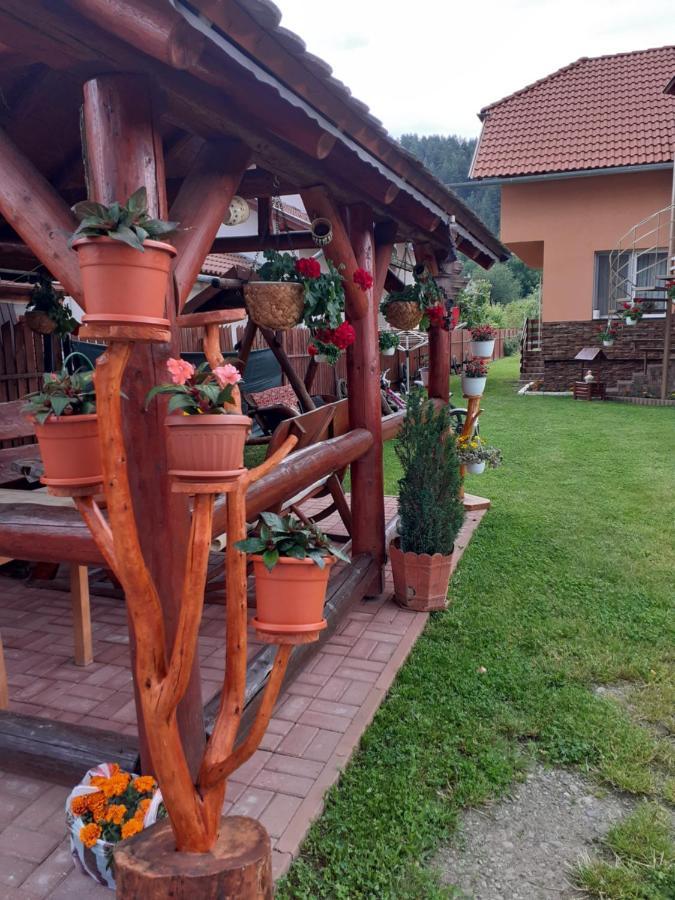 Casa De Oaspeti Cristian Praid Ngoại thất bức ảnh