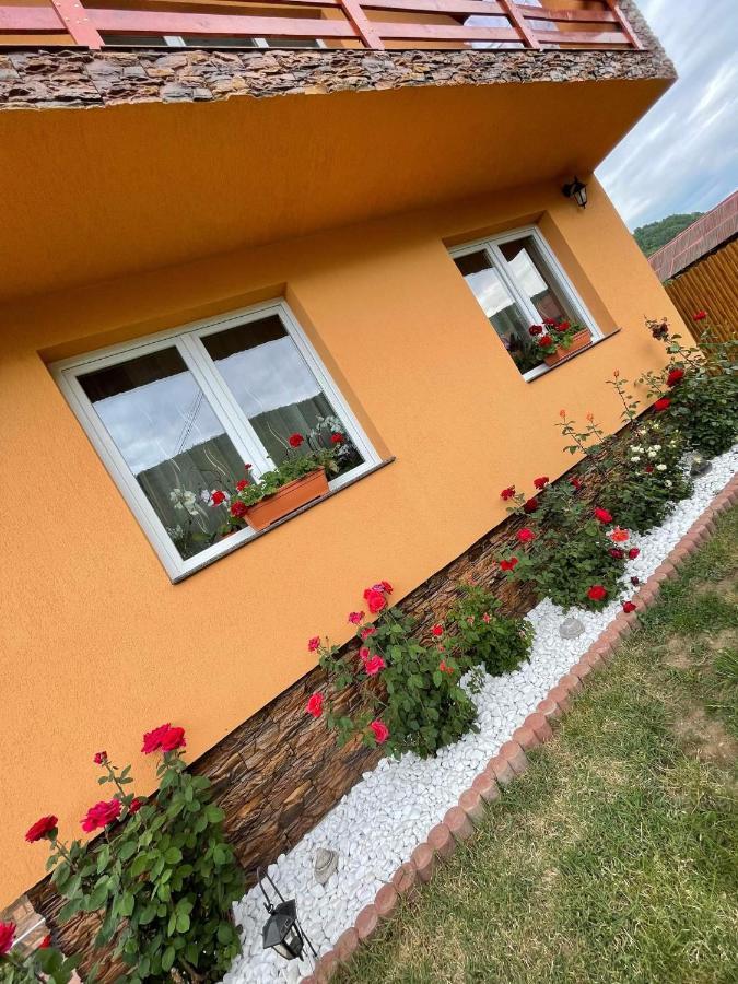 Casa De Oaspeti Cristian Praid Ngoại thất bức ảnh